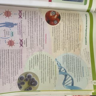 BIOLOGIA Y GEOLOGIA 4ESO EXPERIMENTAMOS CONSTRU...