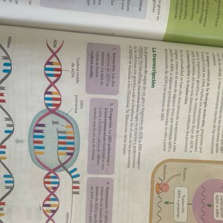 BIOLOGIA Y GEOLOGIA 4ESO EXPERIMENTAMOS CONSTRU...