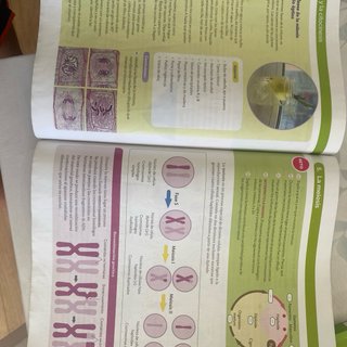 BIOLOGIA Y GEOLOGIA 4ESO EXPERIMENTAMOS CONSTRU...