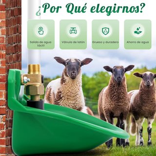 Bebedero Automático para Ovejas
