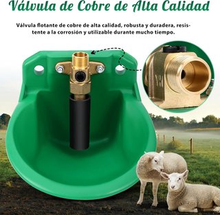 Bebedero Automático para Ovejas