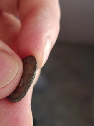 Denario Julia Mamaea