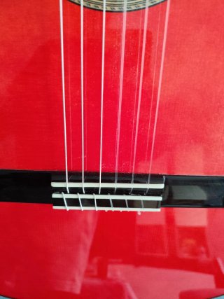 Guitarra Flamenca admira alegría