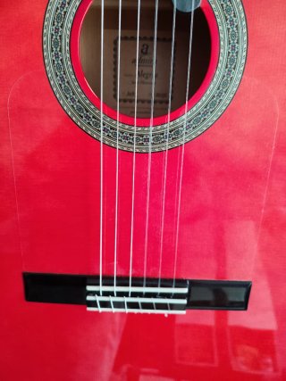 Guitarra Flamenca admira alegría