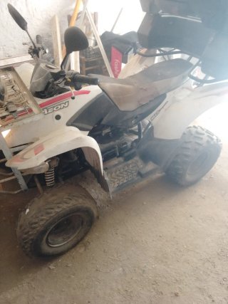 Motor QUAL 49cc Moped Gris