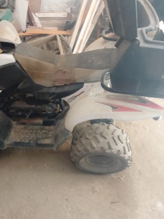 Motor QUAL 49cc Moped Gris