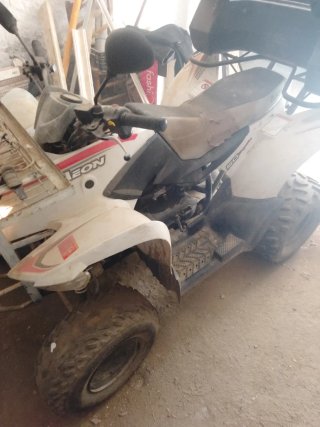 Motor QUAL 49cc Moped Gris