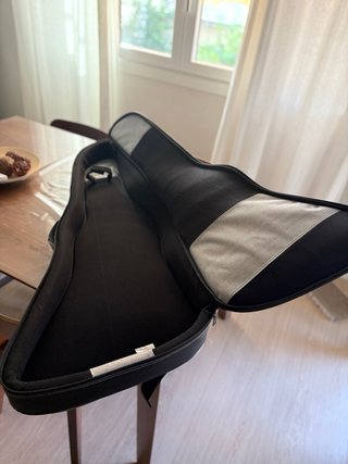 Funda Guitarra Explorer Ritter Gris