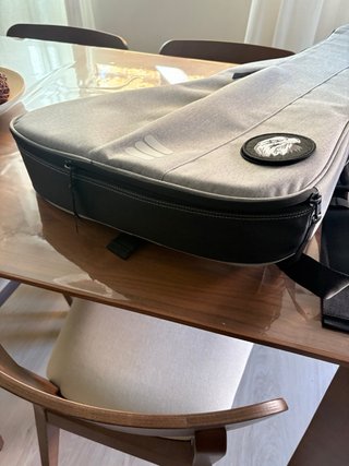 Funda Guitarra Explorer Ritter Gris