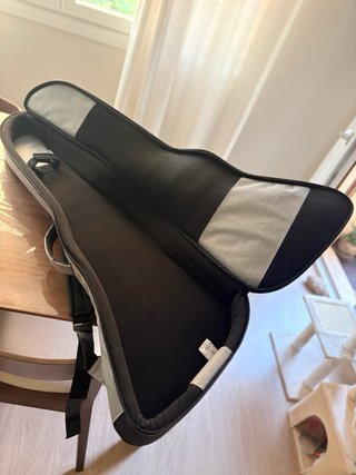 Funda Guitarra Explorer Ritter Gris