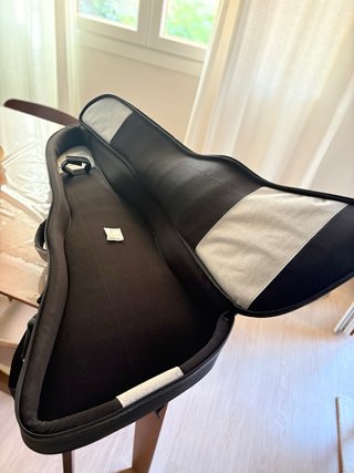 Funda Guitarra Explorer Ritter Gris