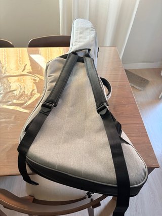 Funda Guitarra Explorer Ritter Gris