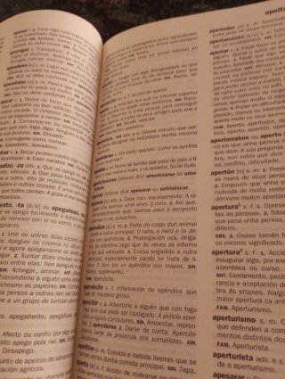 Novo dicionario da lingua galega