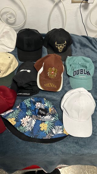 Lote de Gorras Variadas: Animales, Ciudades