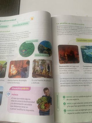 Ciencias de la Naturaleza, 4 Primaria, Proyecto...