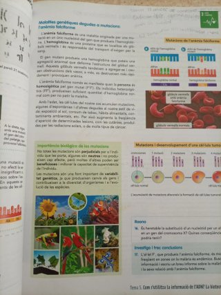 Biologia i Geologia, 4 ESO, Comunitat en xarxa