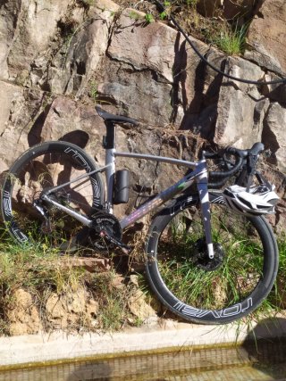 Bicicleta specialized edicion Sagan talla M