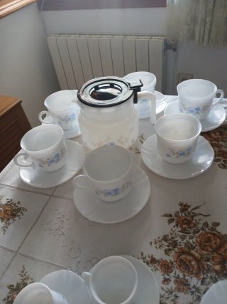 Juego de café Arcopal Romantique vintage 25 piezas