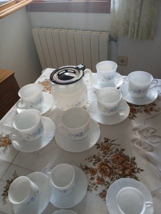 Juego de café Arcopal Romantique vintage 25 piezas