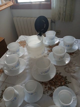 Juego de café Arcopal Romantique vintage 25 piezas