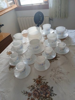 Juego de café Arcopal Romantique vintage 25 piezas