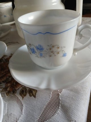 Juego de café Arcopal Romantique vintage 25 piezas