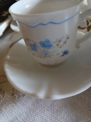 Juego de café Arcopal Romantique vintage 25 piezas