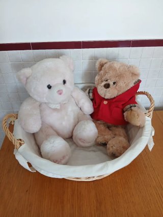 Regalo ositos de peluche