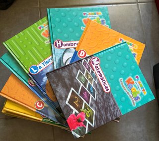 Colección completa de libros infantiles Wally