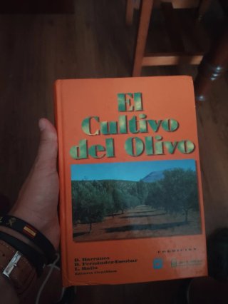 El Cultivo Del Olivo