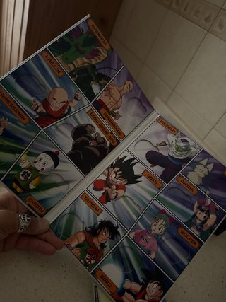 Dragon Ball - Álbum Completo Medallas
