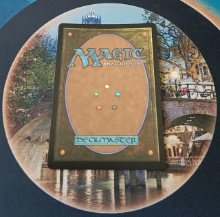 MAGIC FOIL - SEMINARIO DE RESTAURACIÓN