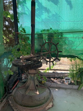 Prensa de vino antigua centenaria de madera – 2,5m
