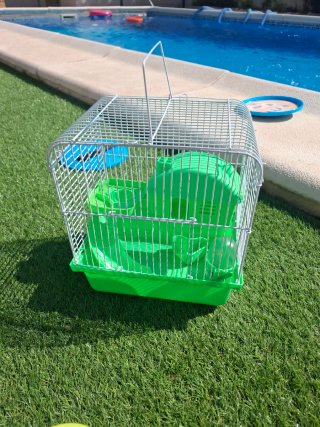 Jaula para roedor pequeño