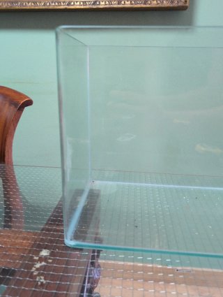 Urna Acuario Cristal