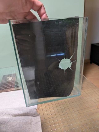 Urna Acuario Cristal