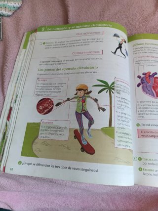 Ciencias de la naturaleza, 4 Primaria, Comunida...