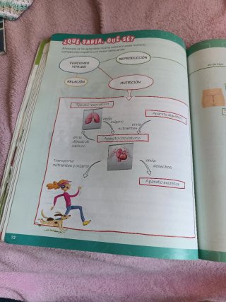 Ciencias de la naturaleza, 4 Primaria, Comunida...