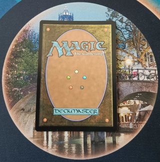 MAGIC FOIL - OSSIFICATION