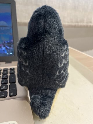 Peluche Ave rapaz