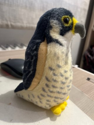 Peluche Ave rapaz
