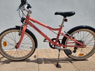 Bicicleta Infantil 20 pulgadas (6-9 años)