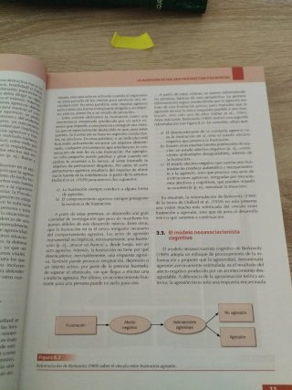 Psicología social: (XXI, 328 p.)