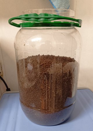 Humus de lombriz sólido