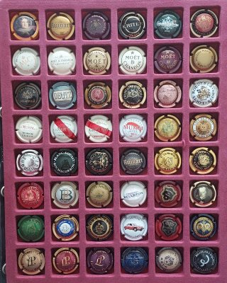 48 Placas de Cava Champagne