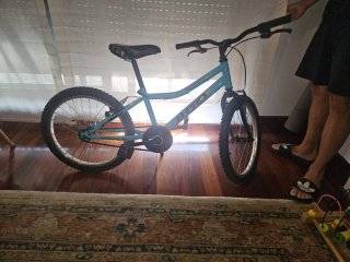 Bicicleta B-Pro Montañera 20
