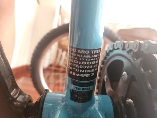 Bicicleta B-Pro Montañera 20