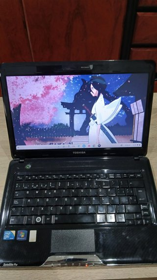 Ordenador Toshiba Satellite Pro T1