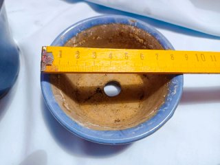 2 Macetas Bonsái Cerámica Azul