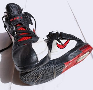 NIKE AIR MAX SOLDIER V  Lebron James (45)